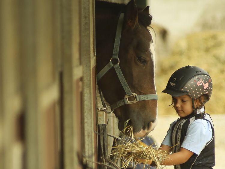 Centre col·laborador de la Fundació Pere Gimbernat, de la Universitat Autònoma de Barcelona. FOTO: Cedida