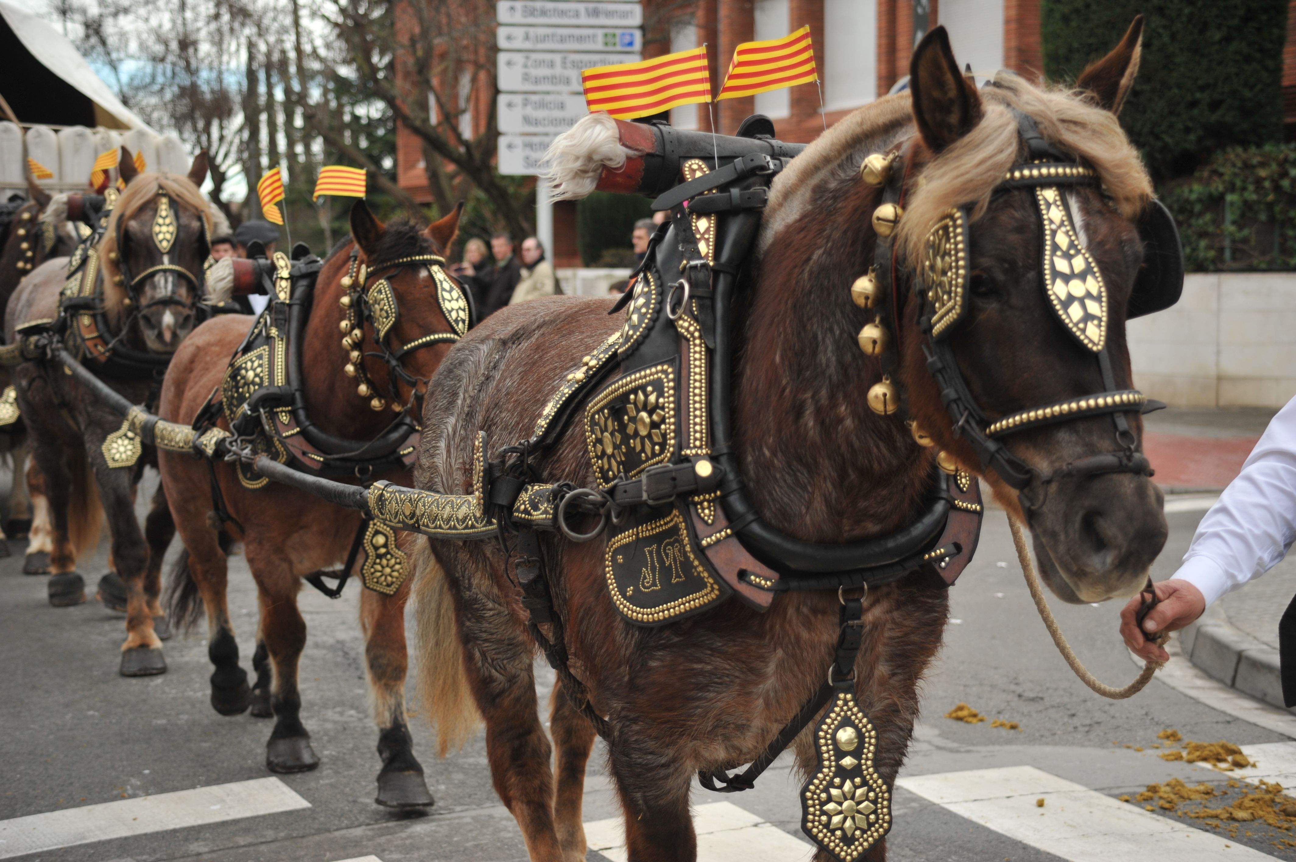 Una edició anterior de la rua dels Tres Tombs. FOTO: Amanda Bernal