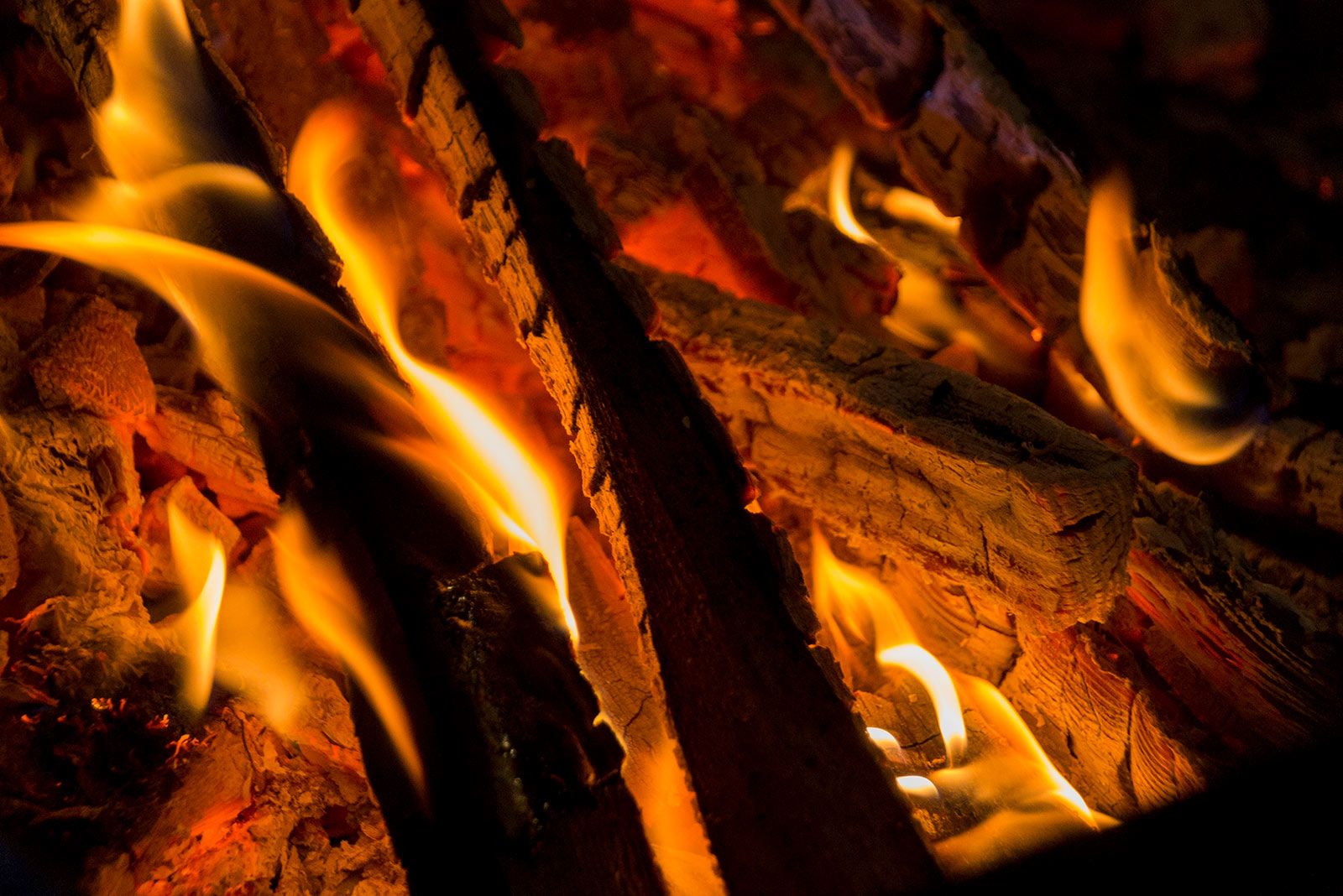 Foguerons de Sant Antoni. FOTO: Paula Galván