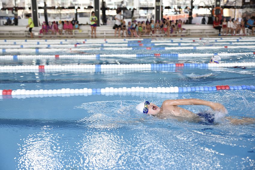 Campionat de natació escolar. Foto: Bernat Millet.