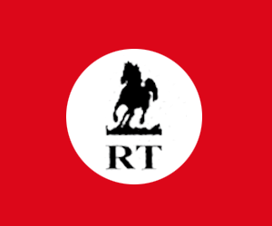 B RT MUDANZAS 300X250