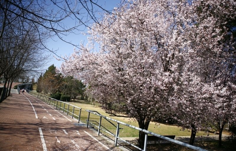 Els parcs i zones verdes de Sant Cugat, el més ben valorat FOTO: Arxiu