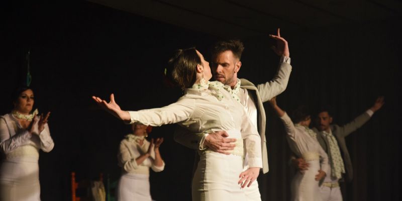 Desafío Flamenco. FOTO: Bernat Millet