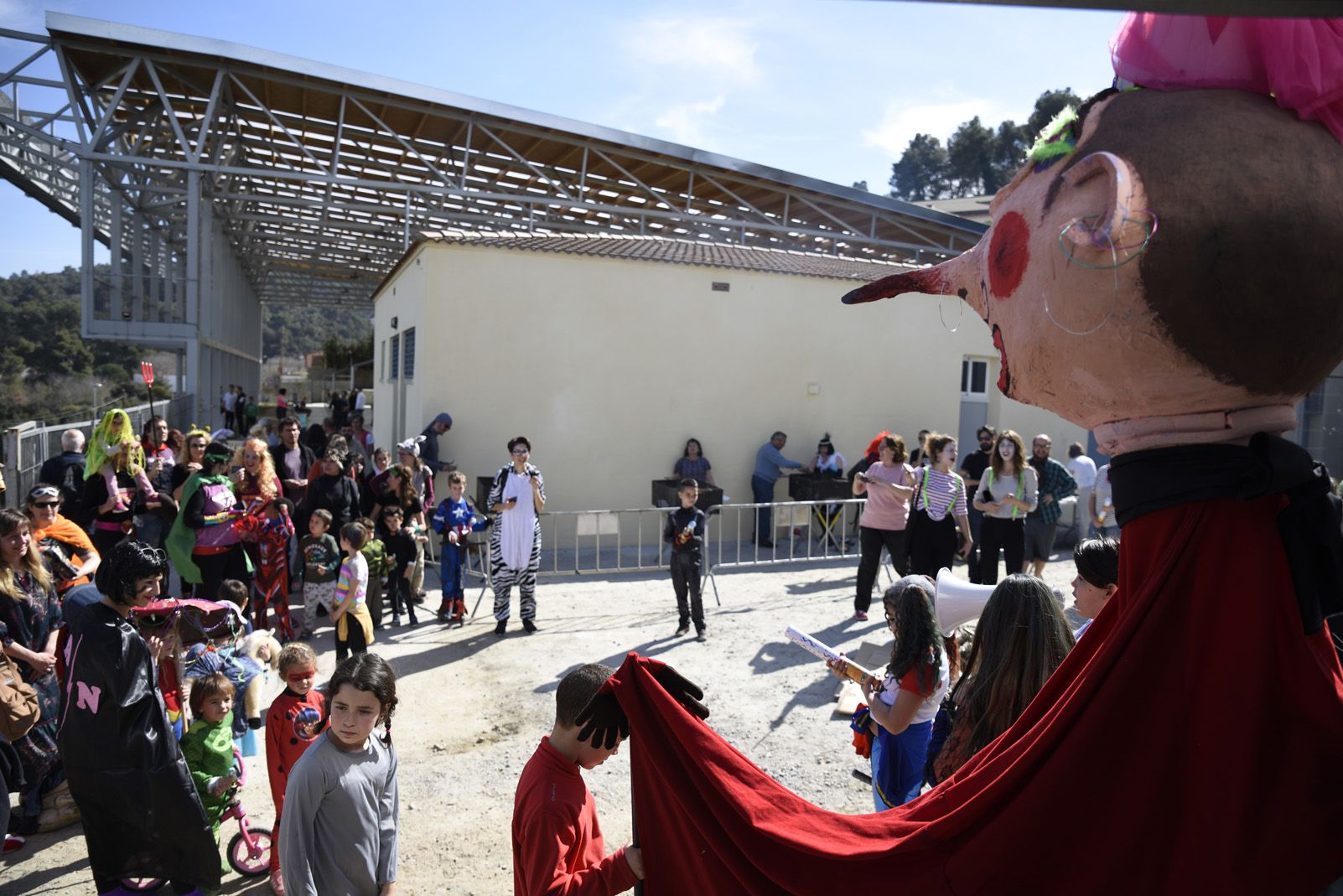 Carnaval a les Planes 2019. FOTO: Bernat Millet