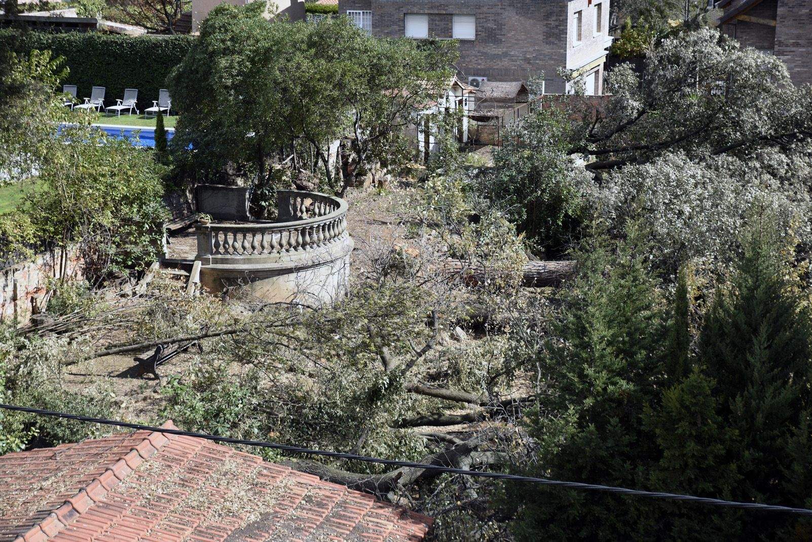 Alguns dels arbres talats a la parcel·la de Sant Cugat el 2019 FOTO: Bernat Millet