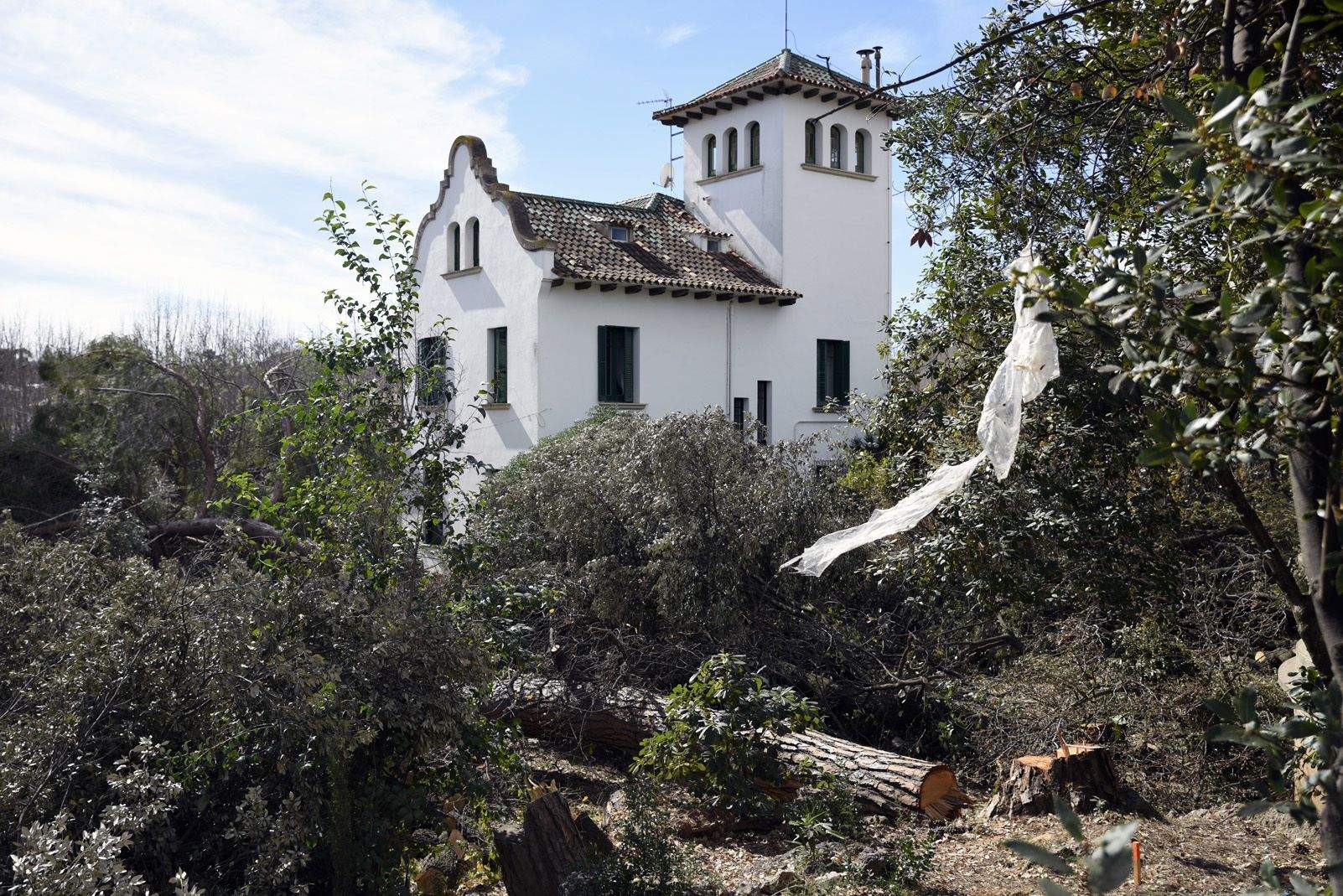 talen arbres il·legalment sant cugat