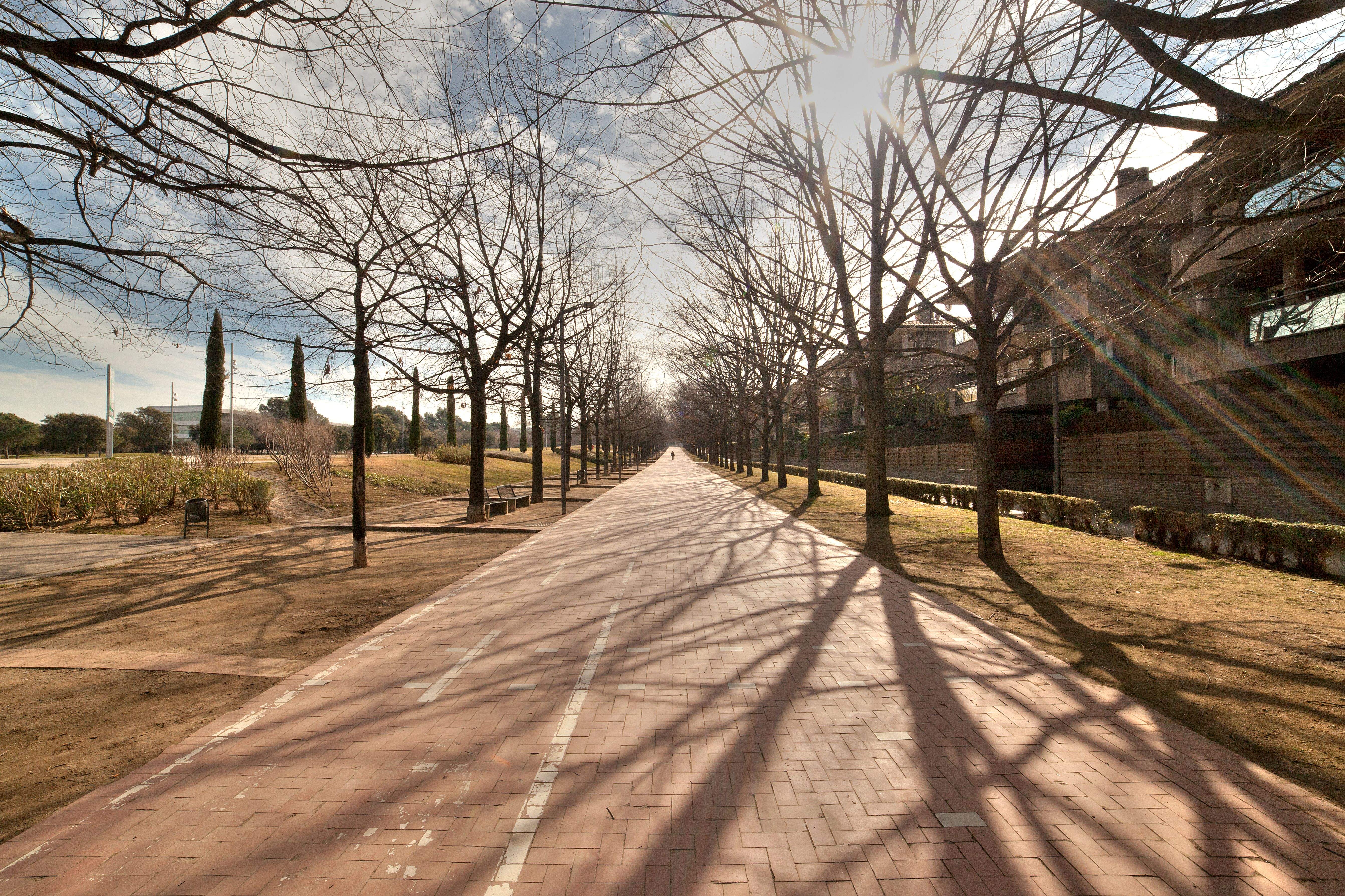 Dia assolellat a Sant Cugat. FOTO: Artur Ribera