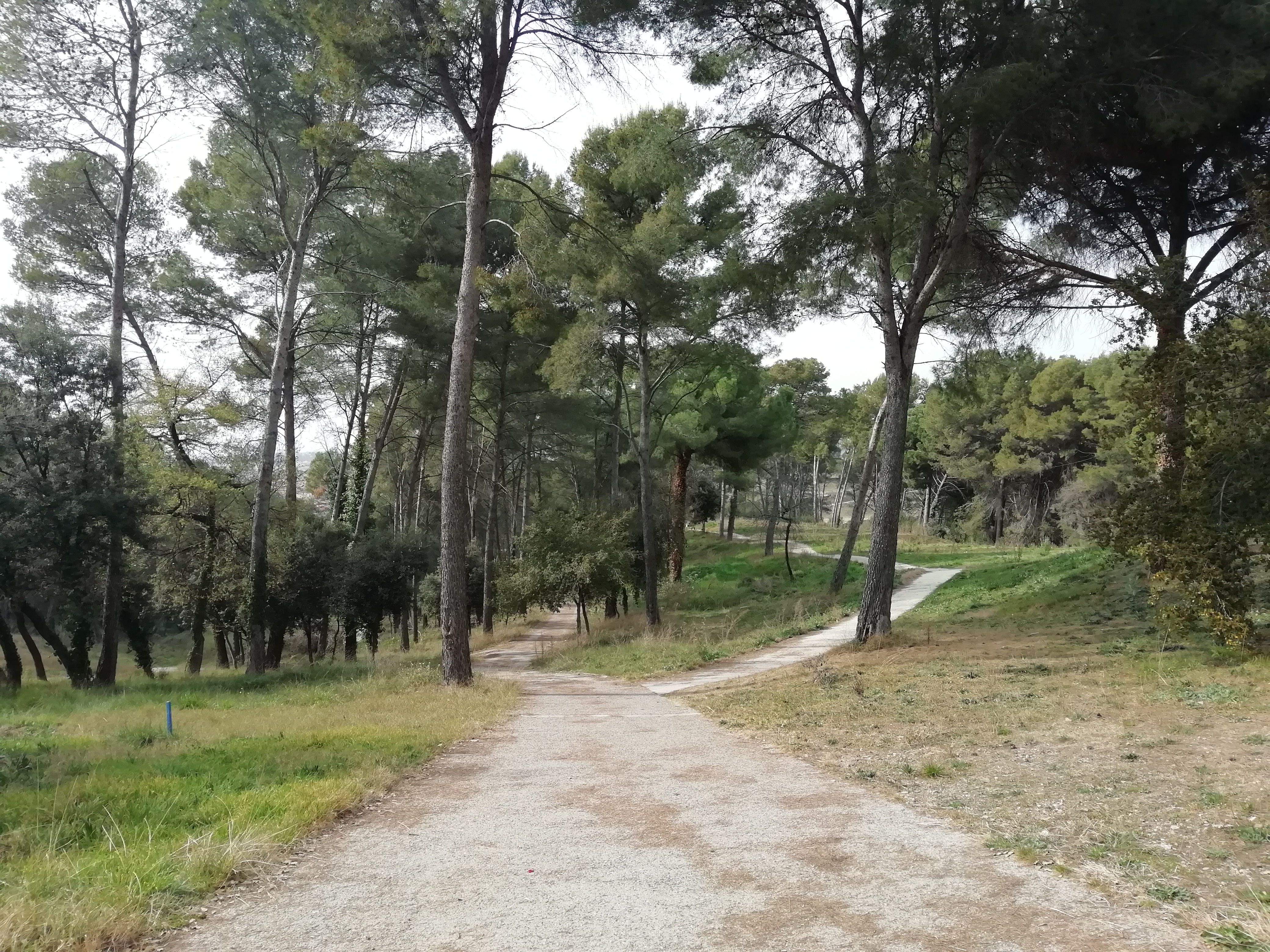 El camp de golf de Sant Joan està en desús des de 2018 FOTO: Bernat Bella