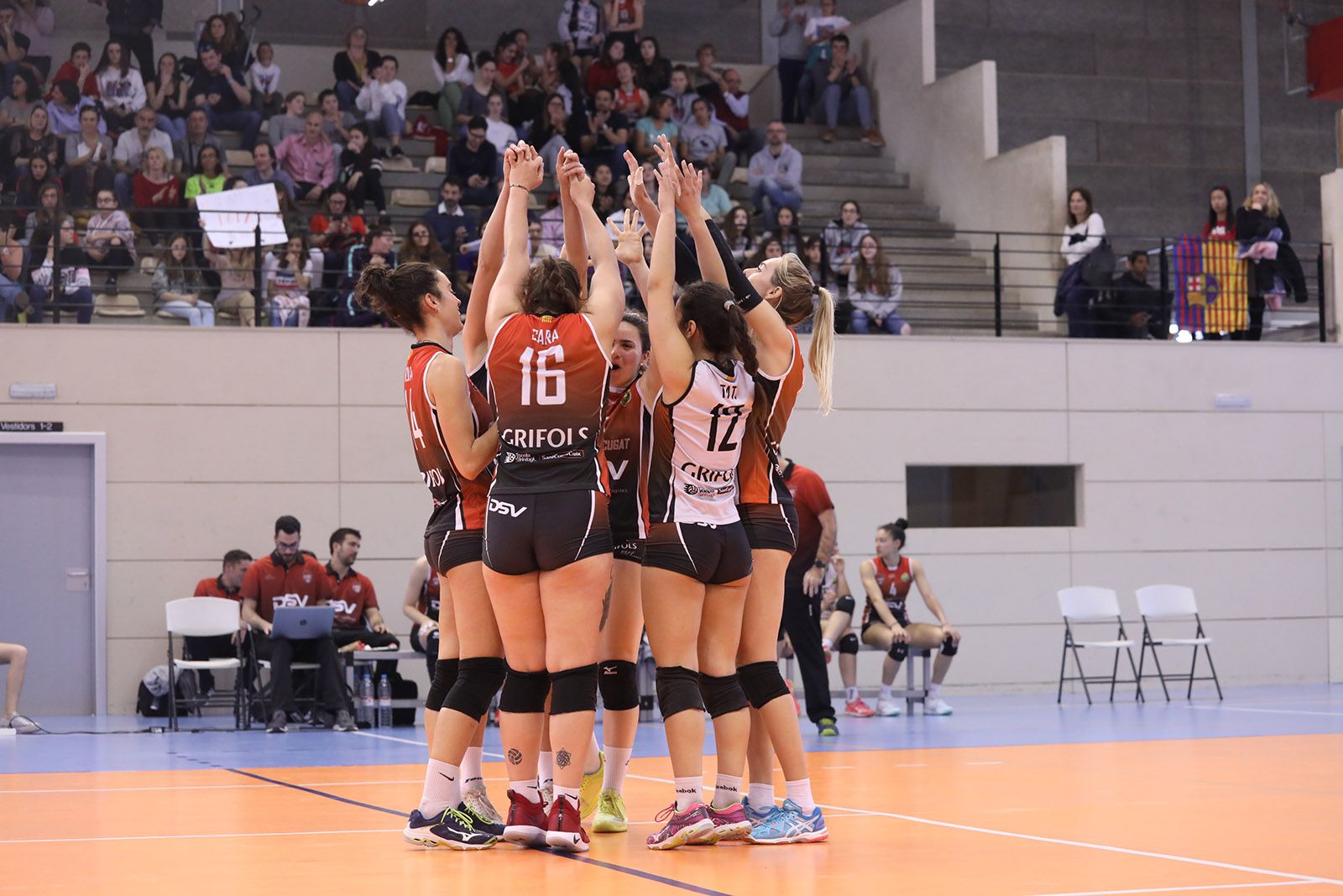 Lliga de Voleibol: DVS Sant Cugat-Cajasol Juvasa Voley. Foto: Lali Álvarez