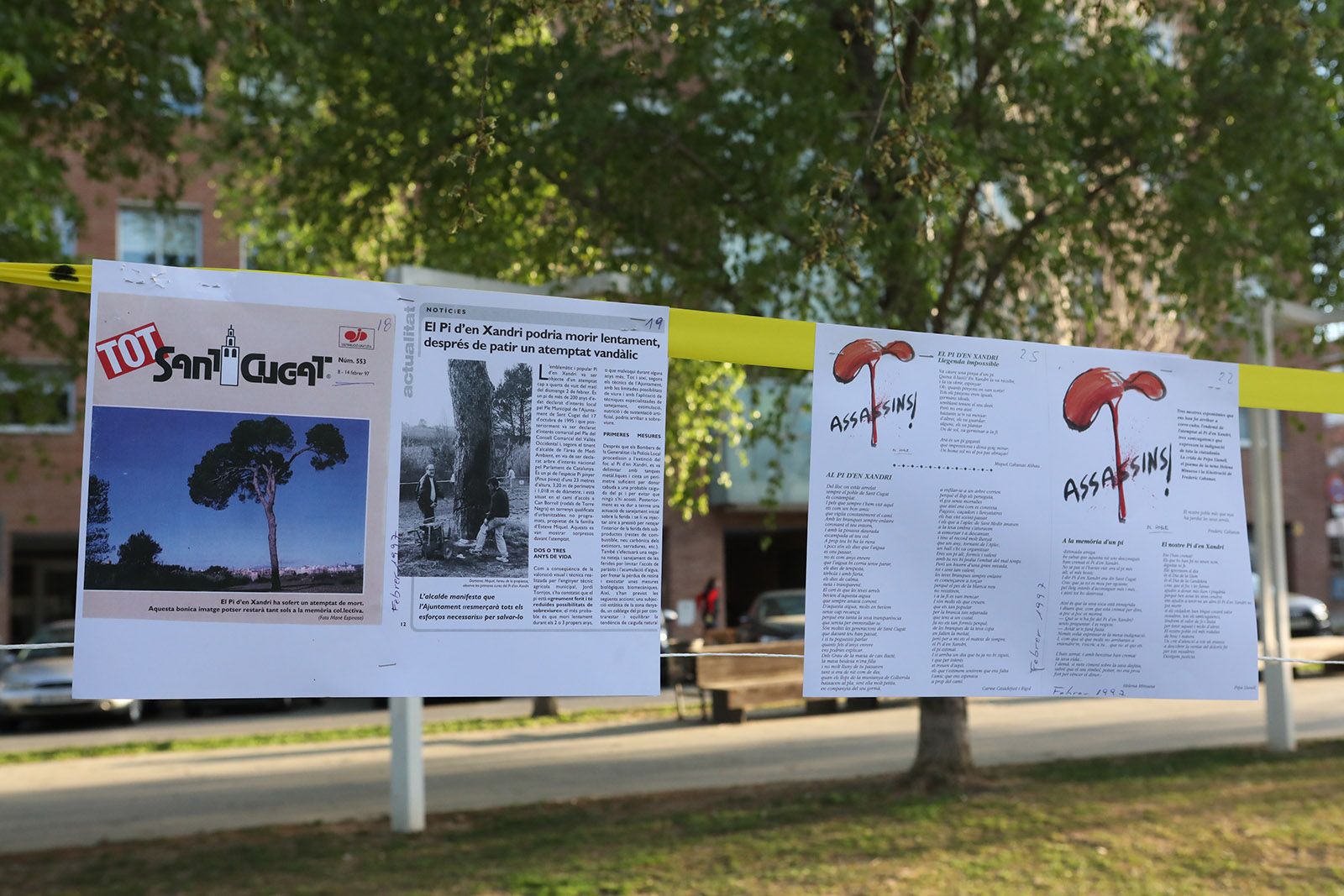 Inauguració del mural al Pi d'en Xandri. Foto: Lali Álvarez