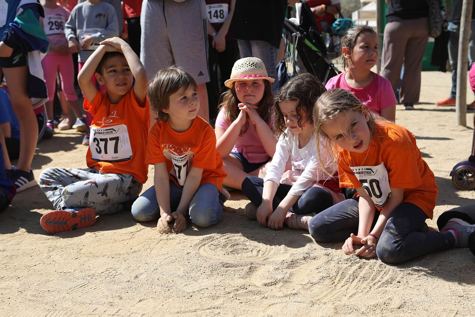 21a Cursa d'orientació Escolar. Foto: Lali Álvarez