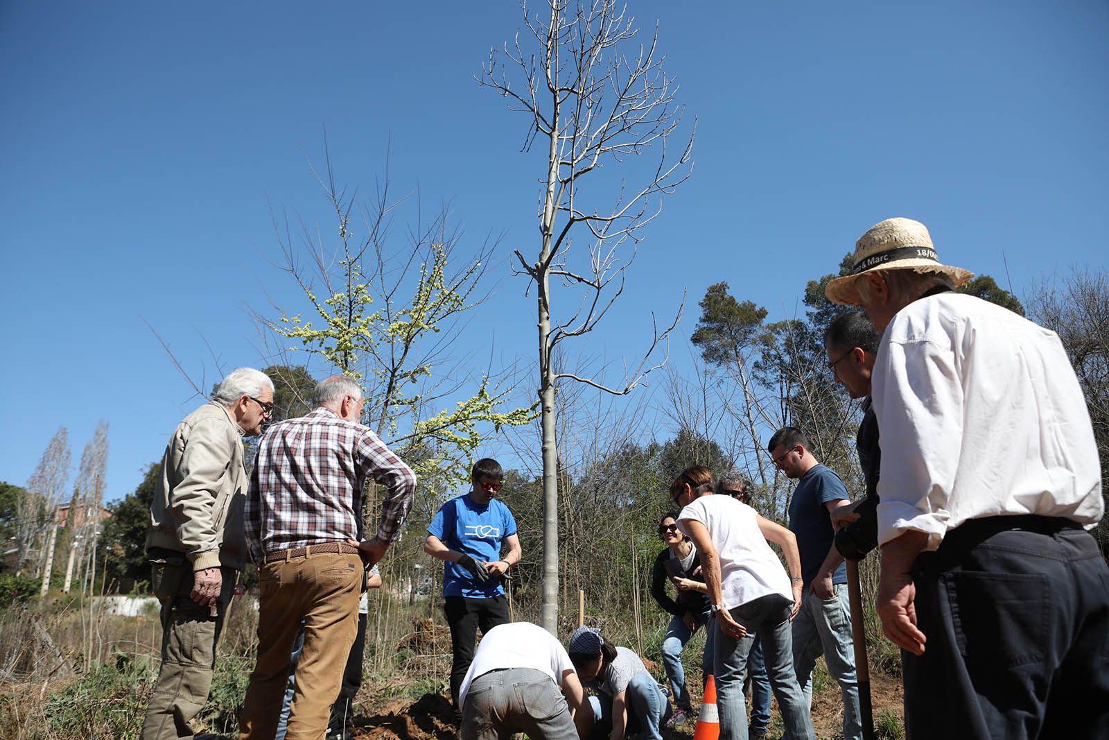 Festa de l'Arbre a Valldoreix. Foto: Lali Álvarez