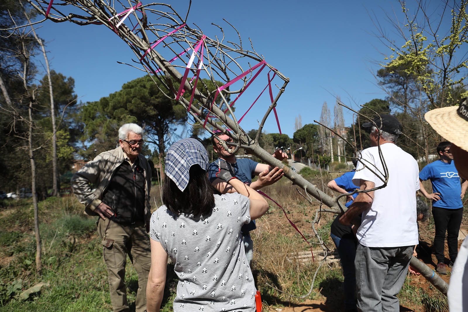 Festa de l'Arbre a Valldoreix. Foto: Lali Álvarez