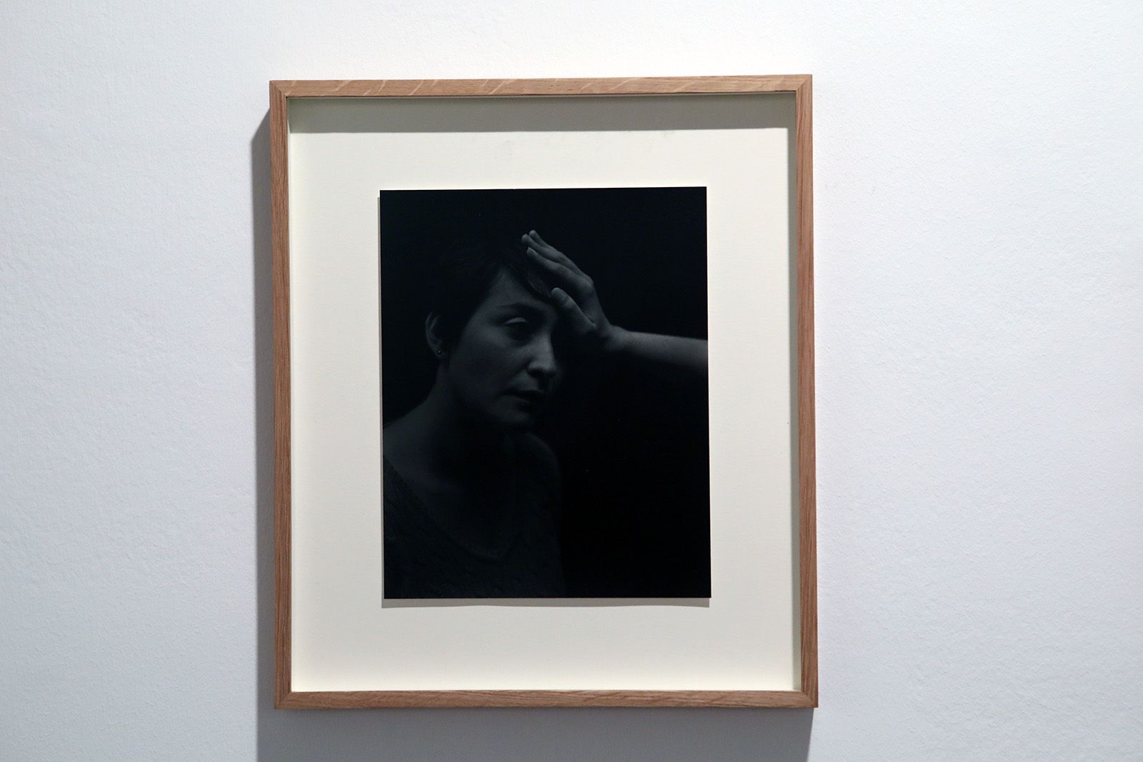 Festival Lumínic a la Casa de Cultura. Foto: Lali Álvarez