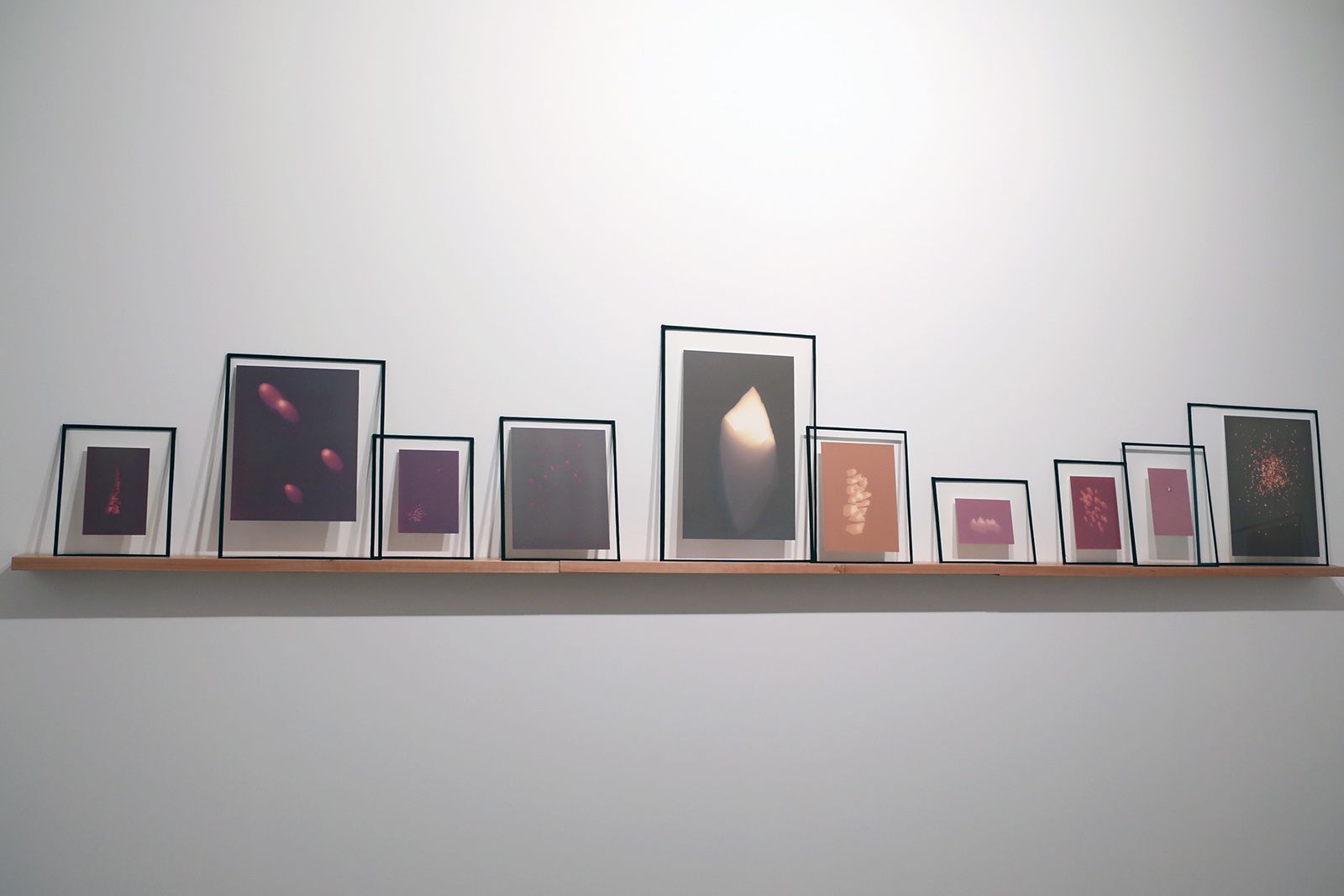 Festival Lumínic a la Casa de Cultura. Foto: Lali Álvarez