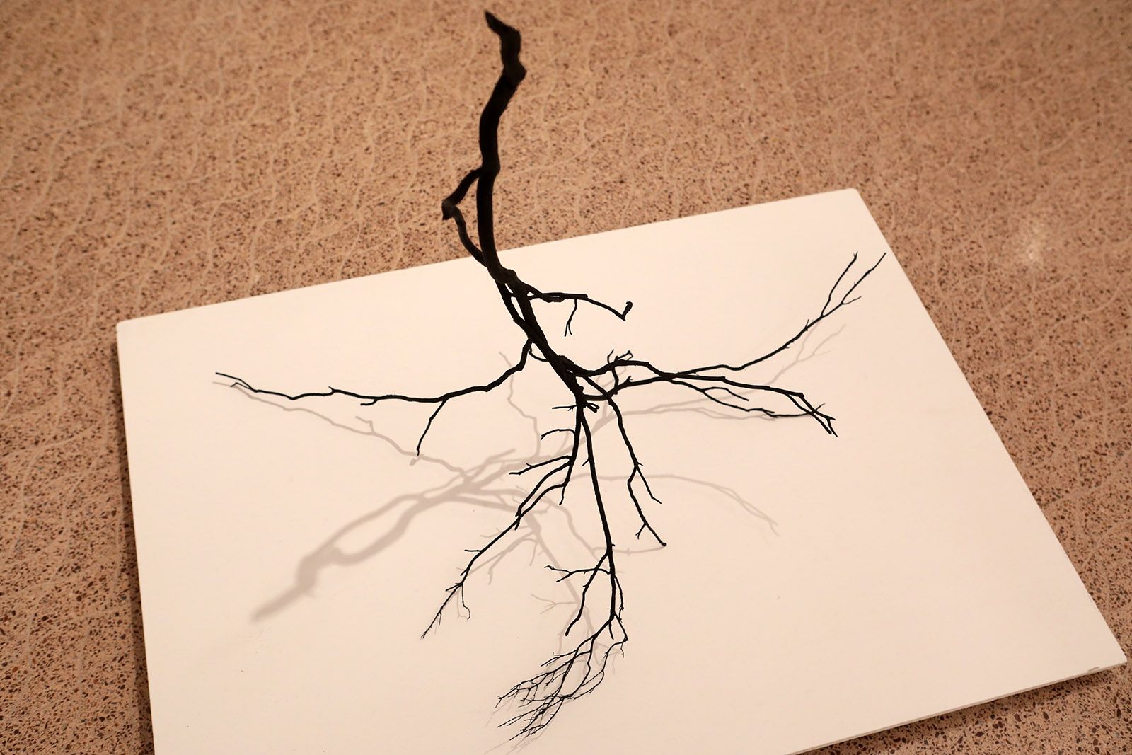 Festival Lumínic a la Casa de Cultura. Foto: Lali Álvarez