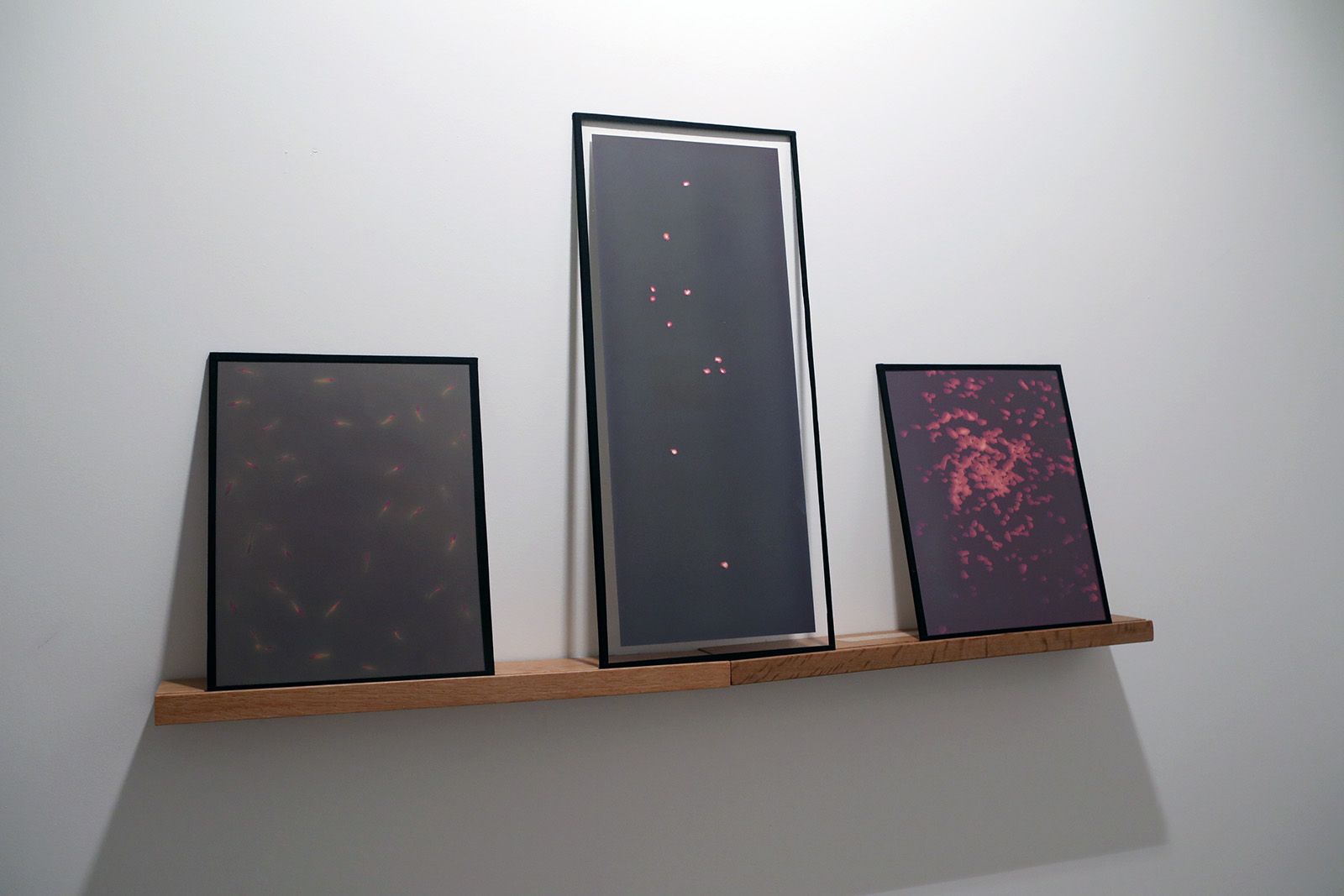 Festival Lumínic a la Casa de Cultura. Foto: Lali Álvarez