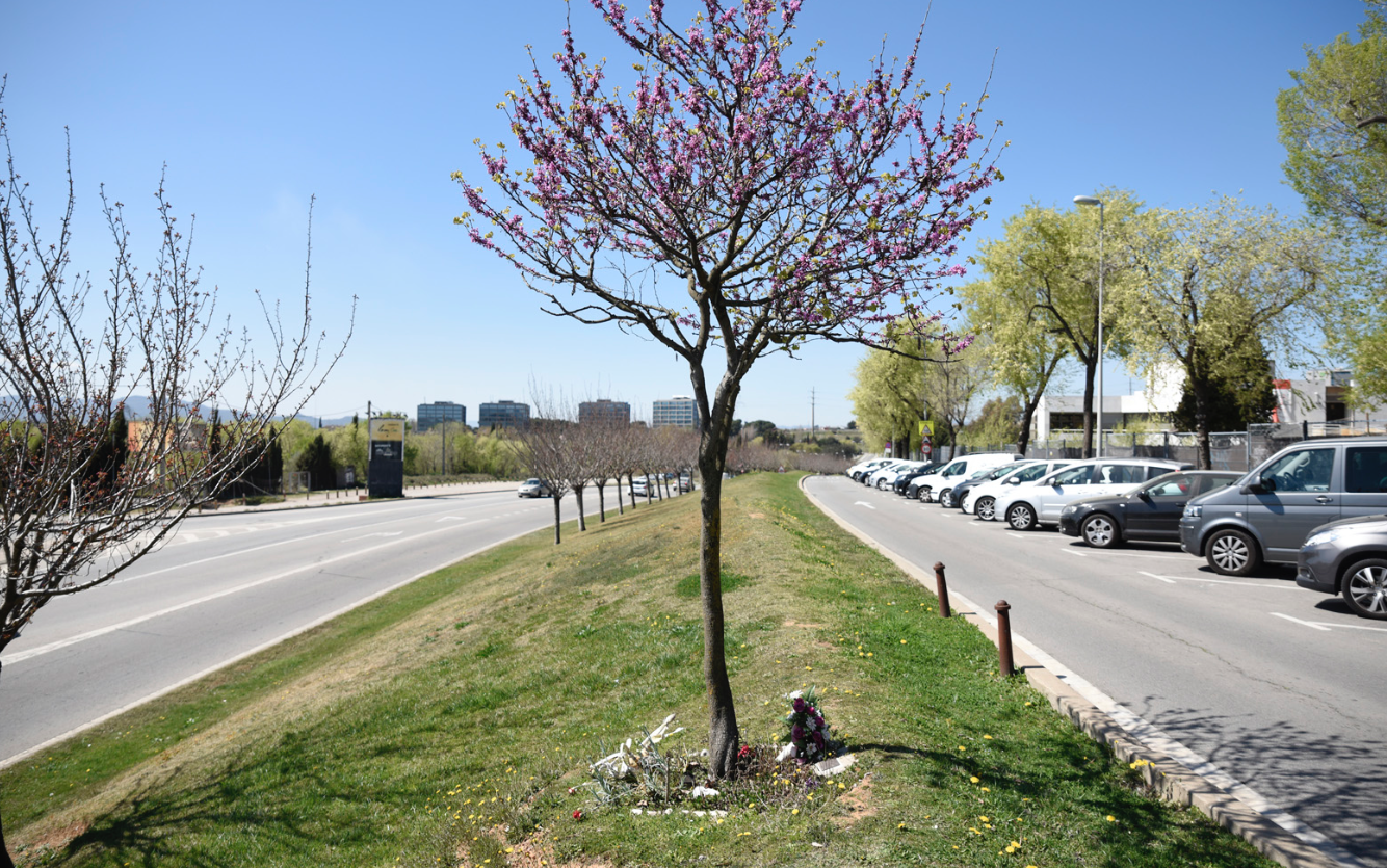 L'atropellament es va produir al carrer lateral de la carretera de Rubí FOTO: Bernat Millet