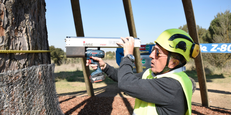 Pi Xandri Collserola Sant Cugat 1