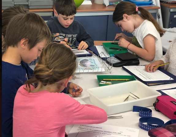 Els alumnes van gaudir de la 8a edició de la Setmana de la Ciència. FOTO: Cedida 