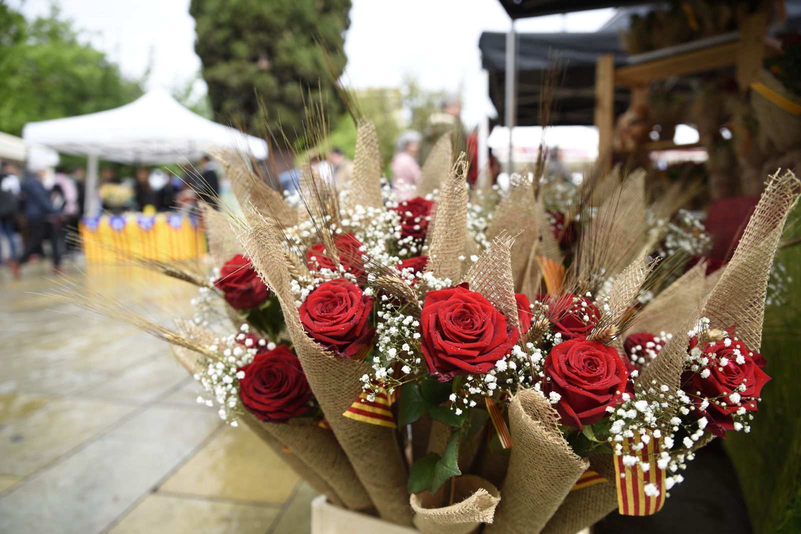 Les roses són un dels simbols més característics de Sant Jordi. FOTO: Bernat Millet