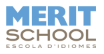 logo merit school