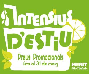 b merit school abril 2019