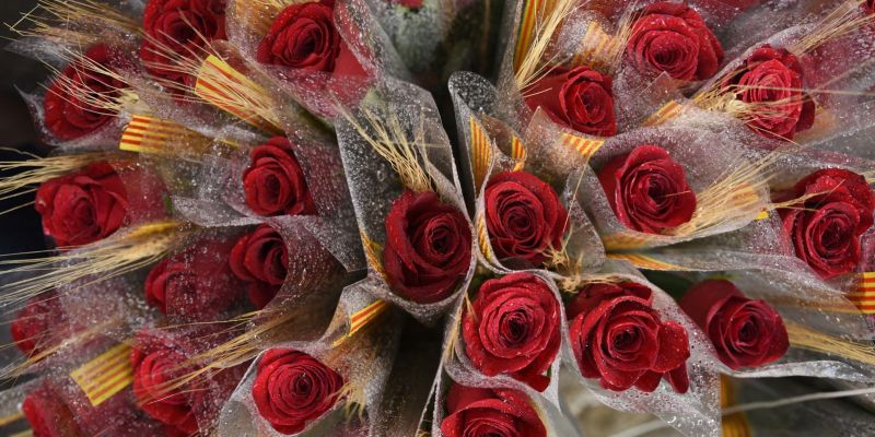 Roses vermelles de la diada de Sant Jordi. Foto: Bernat Millet.