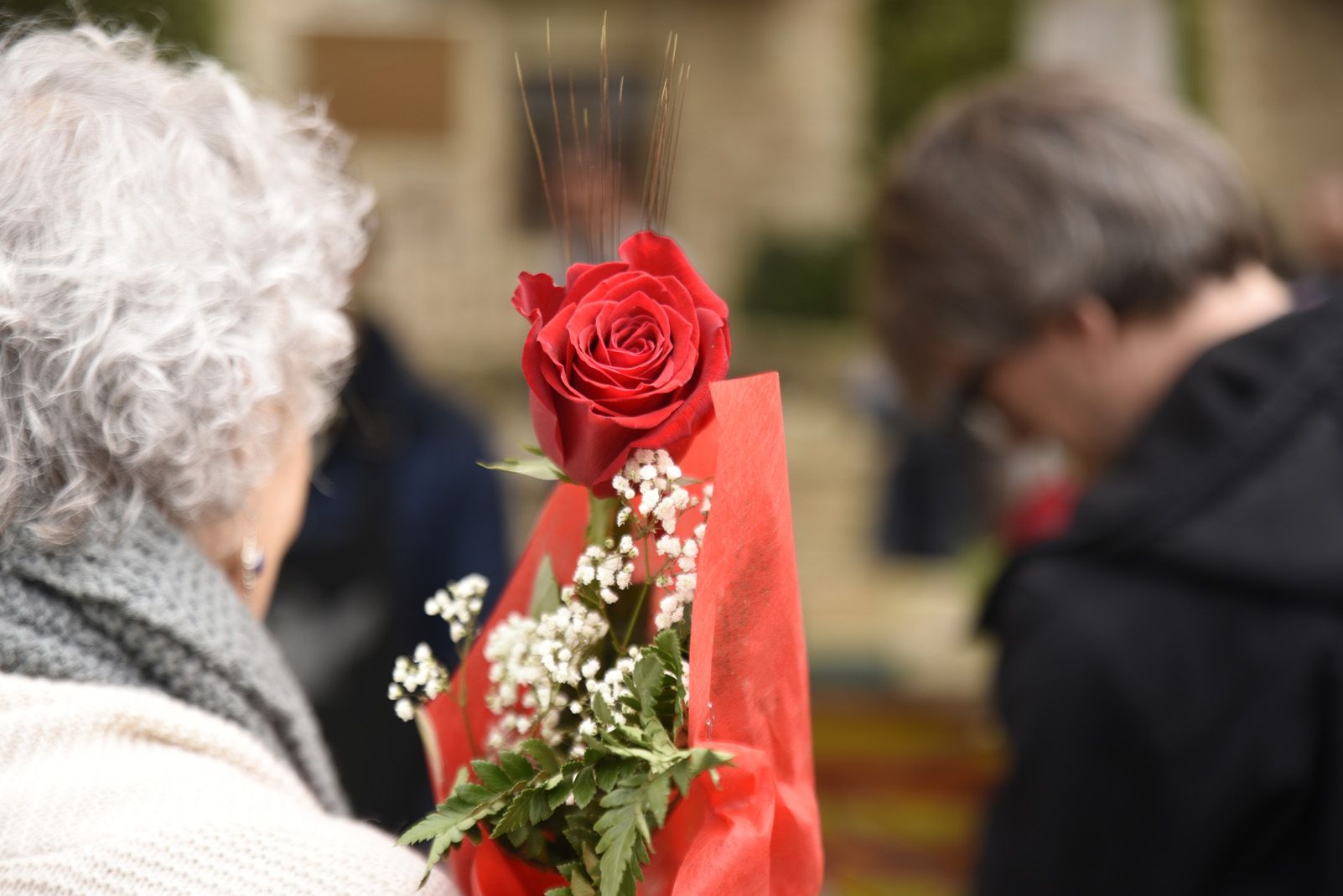 La diada de Sant Jordi a Sant Cugat. Foto: Bernat Millet.