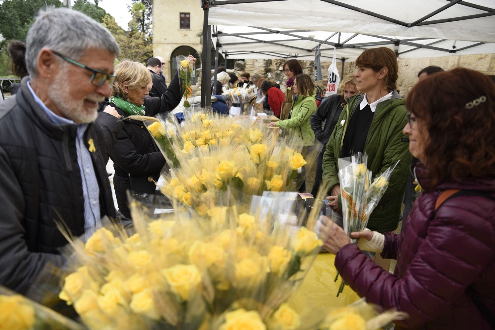Les roses grogues de Sant Jordi. Foto: Bernat Millet.