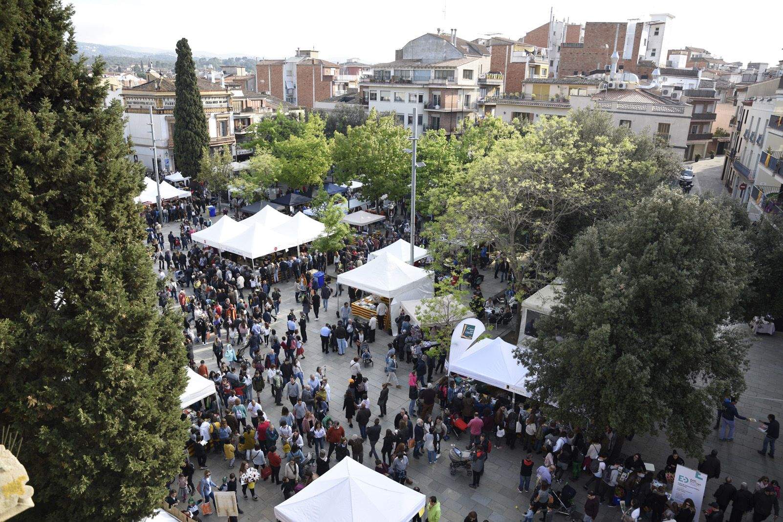 La diada de Sant Jordi a Sant Cugat. Foto: Bernat Millet.
