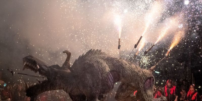 El boc és el gran protagonista de la festa. FOTO: Ale Gómez