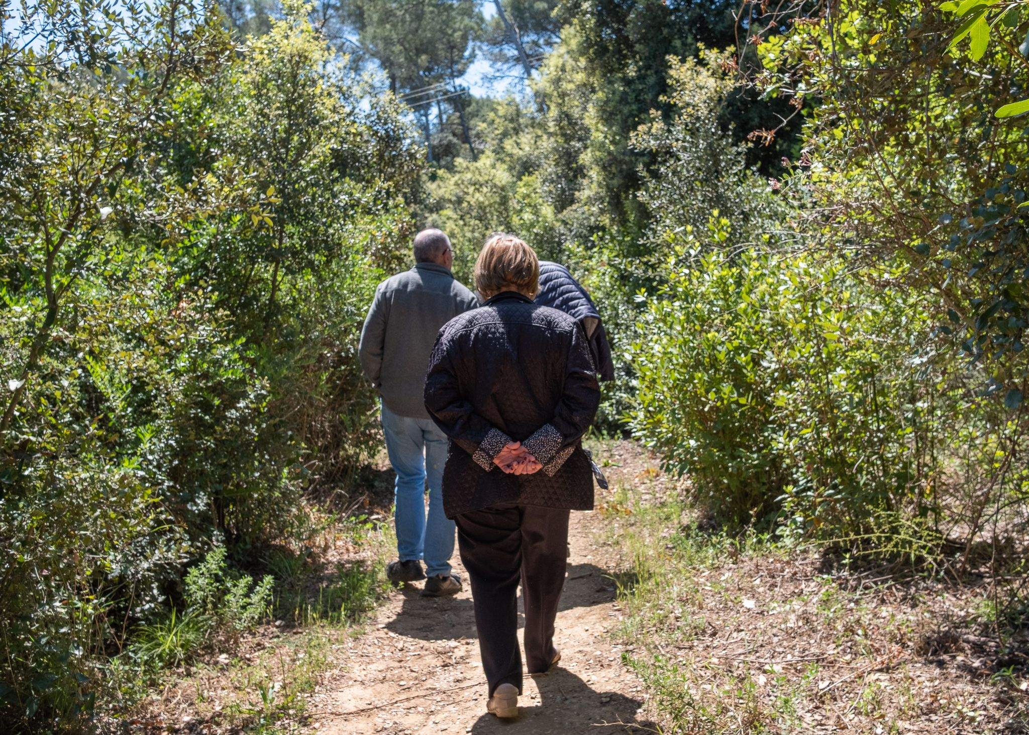 15a edició del Bosc Literari a la Floresta. FOTO: Ale Gómez