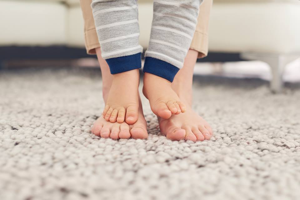 Van obrir les seves portes al maig de 2018 FOTO: Cedida