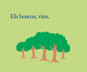 05.1 TotMedia (300x250px))100Kb