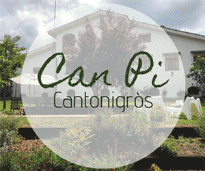 CAN PI 300X250 CAN PI 300X250