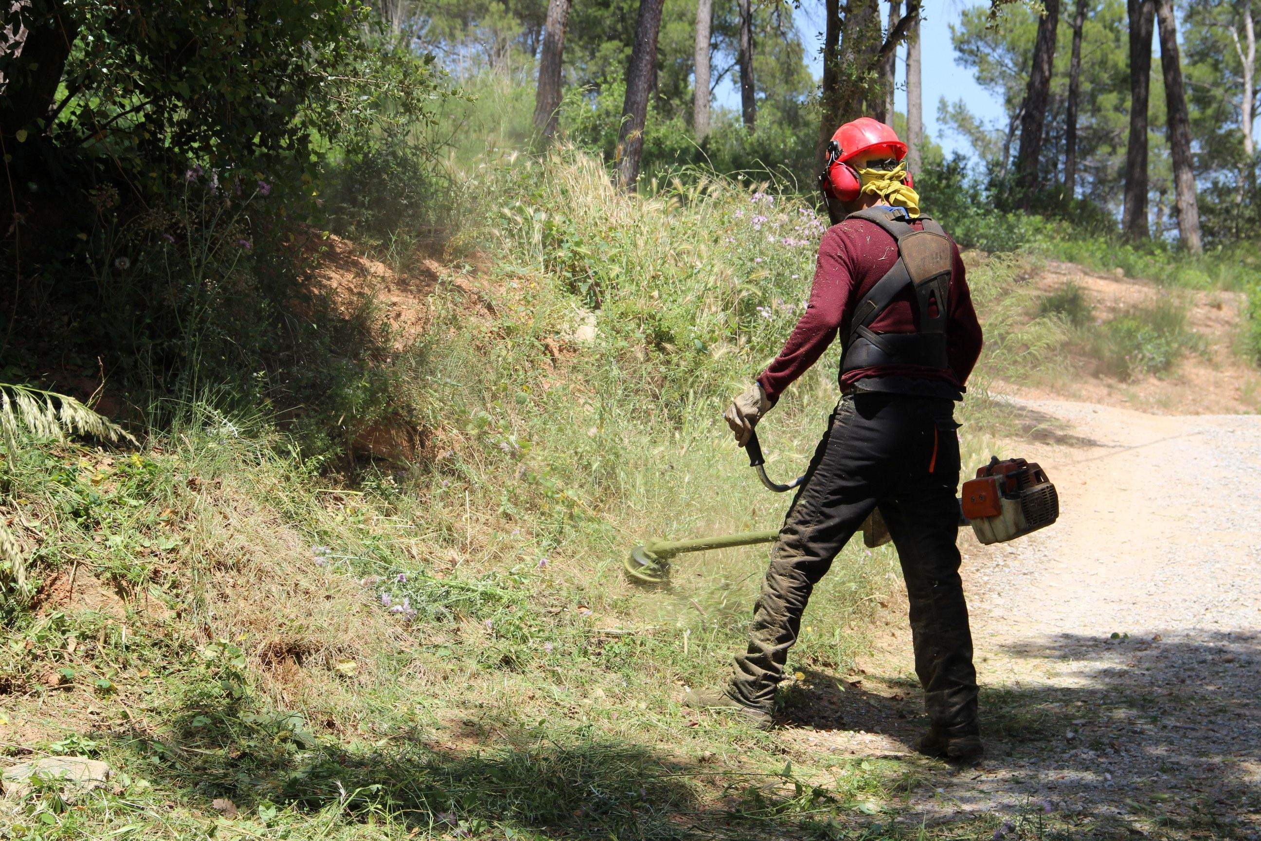 L'obertura i manteniment de les franges perimetrals és indispensable per evitar els incendis a l'estiu FOTO: Cedida