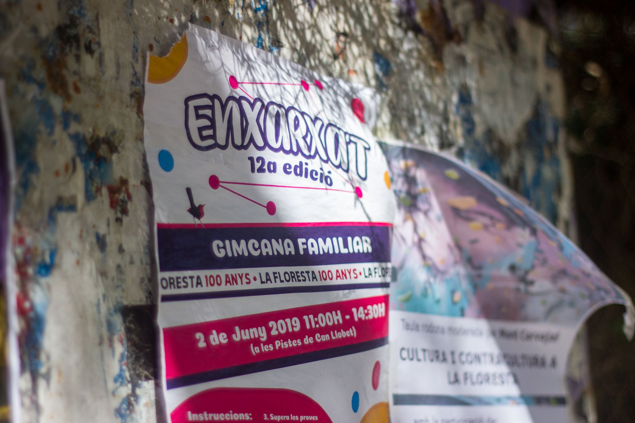 12a edició "Enxarxa't", una gimcana familiar a la Floresta. FOTO: Ale Gómez