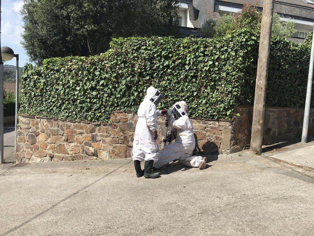 Els treballadors retirant el niu de vespa velutina FOTO: EMD Valldoreix