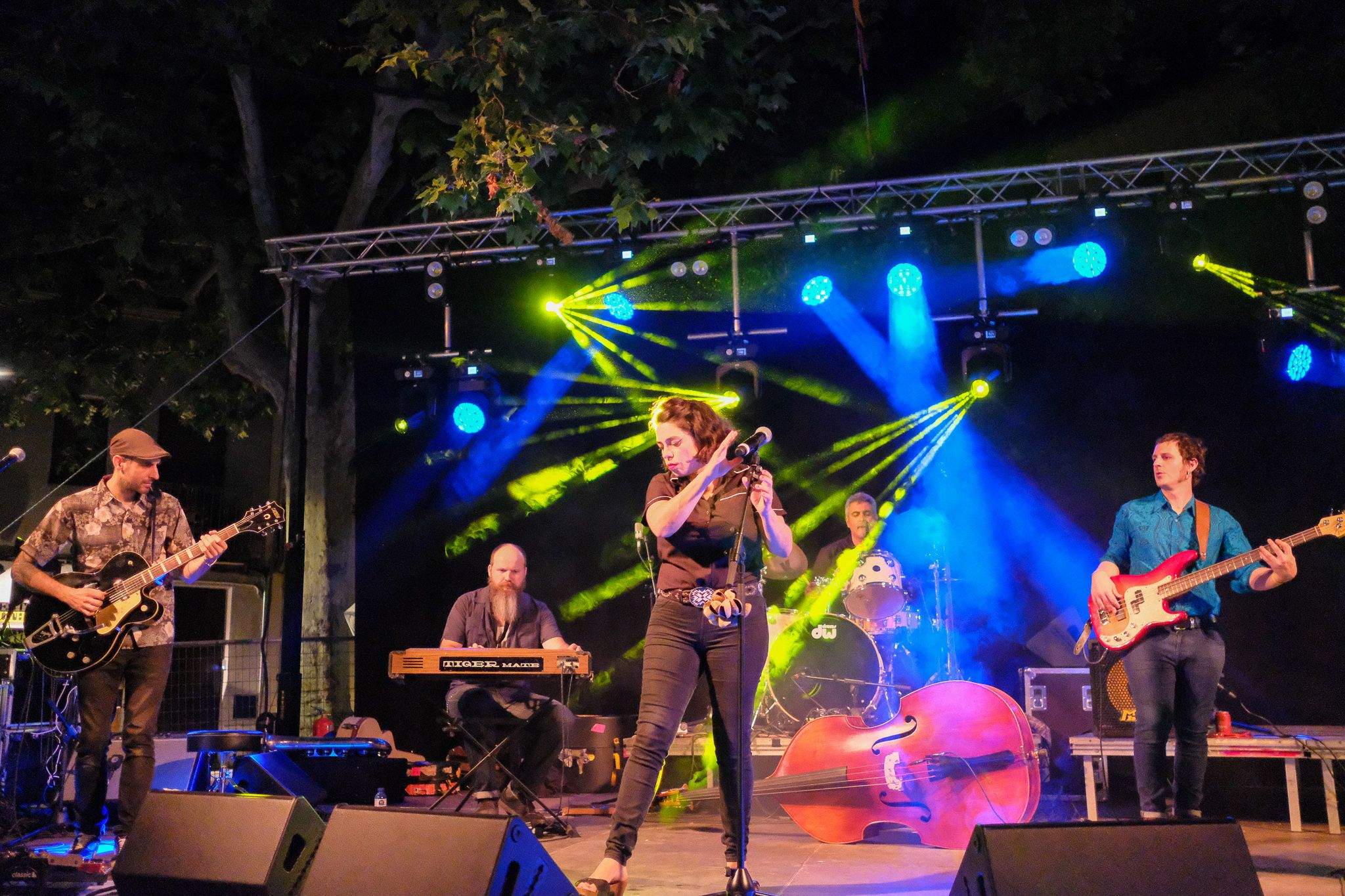 Nit de concert de Flamingo Tours. Foto: Alex Gomez