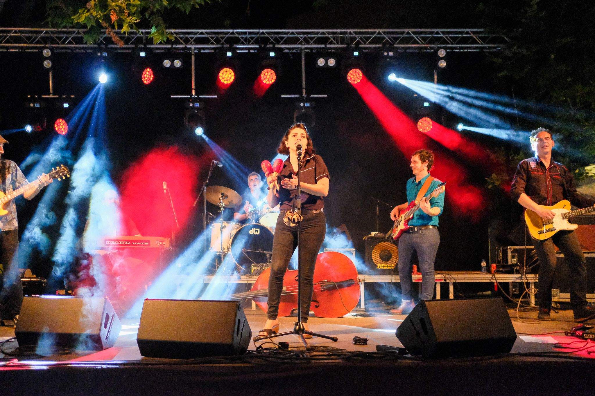 Nit de concert de Flamingo Tours. Foto: Alex Gomez