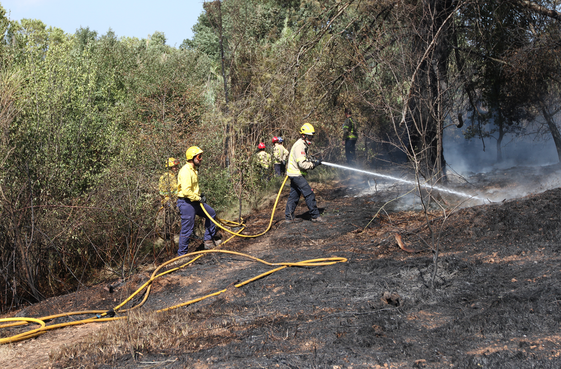 Imatge d'arxiu d'un foc a Sant Cugat FOTO: Haidy Blanch