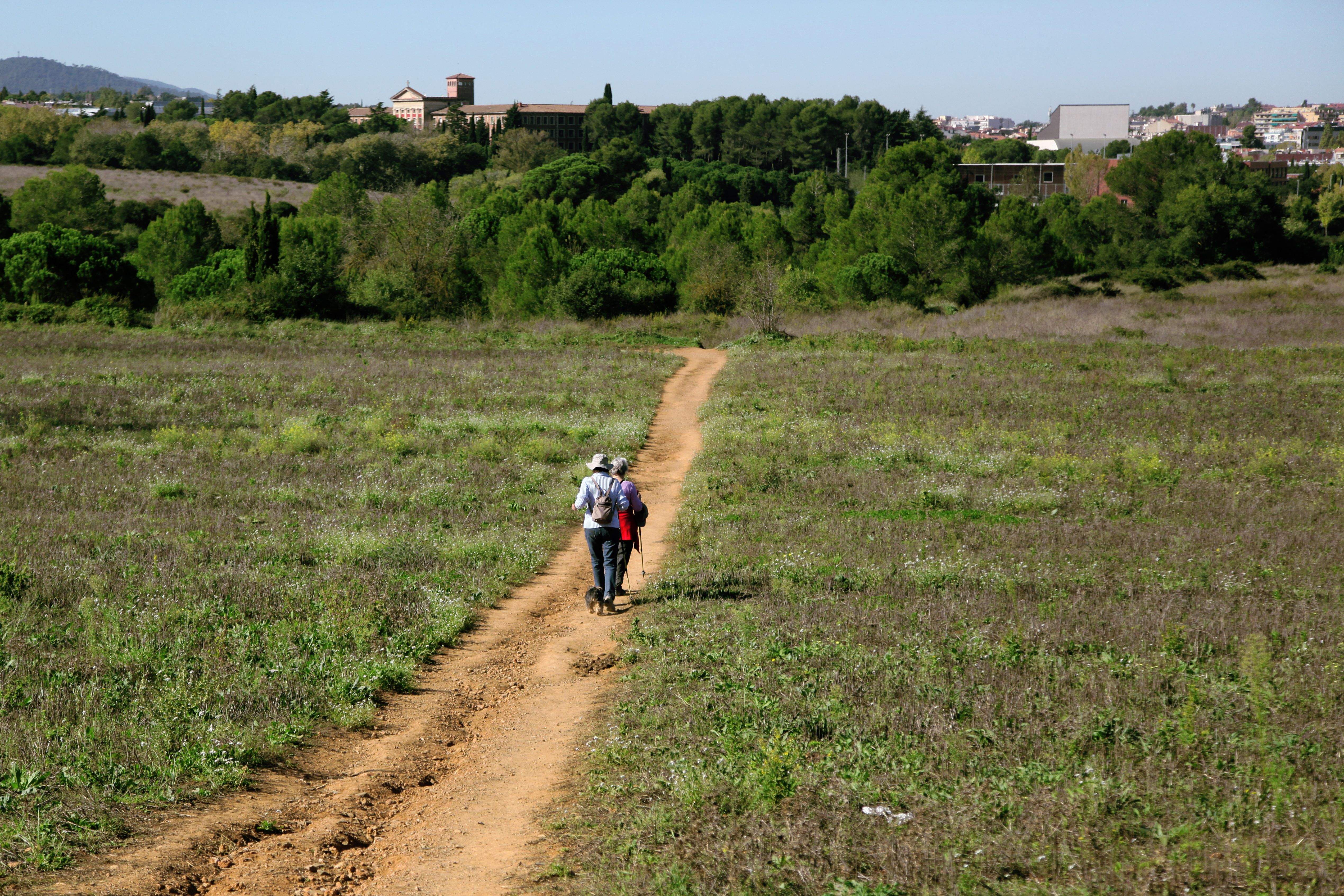 La Passejada de Festa Major, que organitza l'associació Excursionista Altiplà, s'ha suspès per l'onada de calor. FOTO: Lali Puig