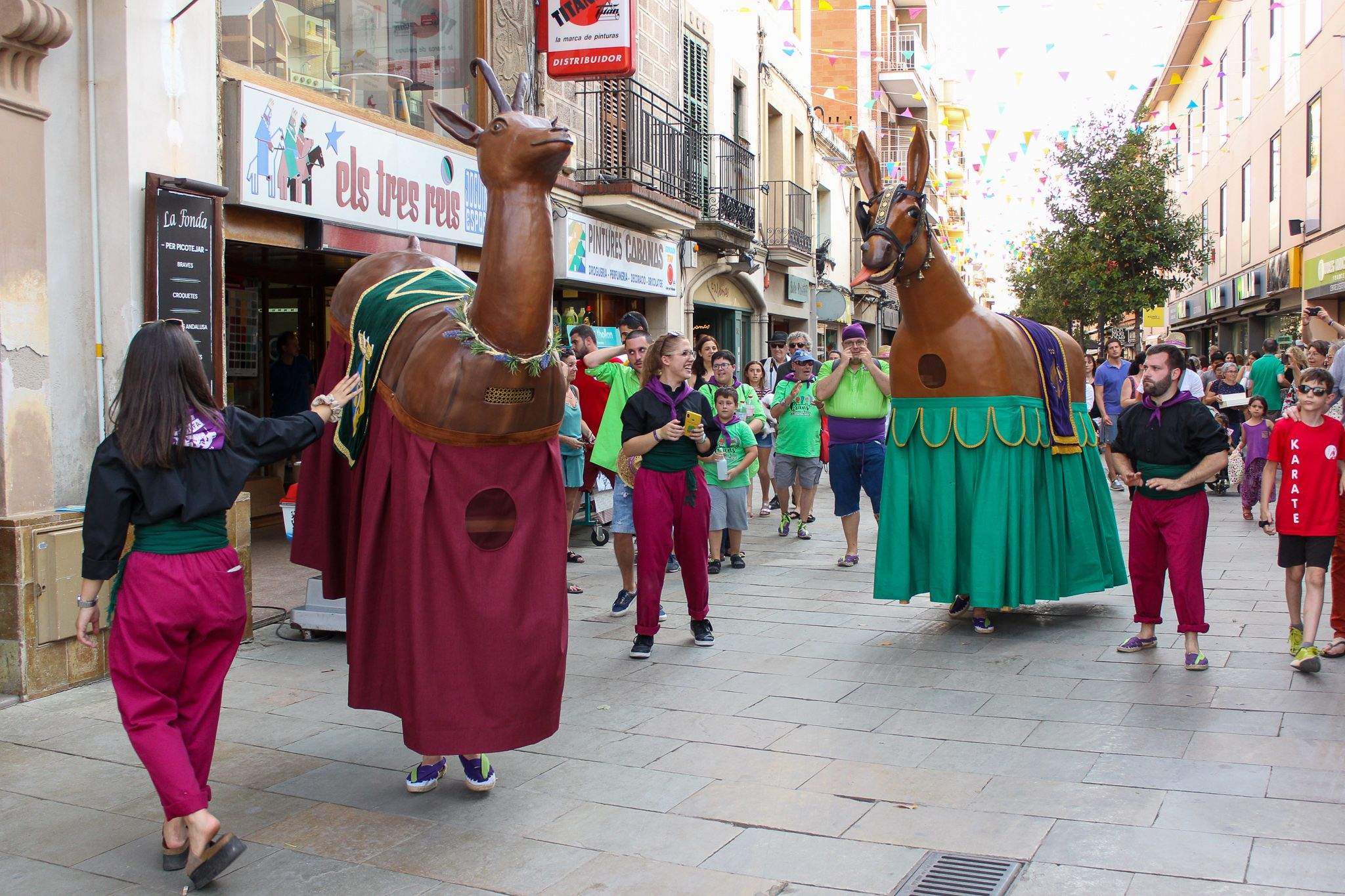 Balls i Entremesos d'arreu de Catalunya a la plaça d'Octavià. Foto: Alex Gómez