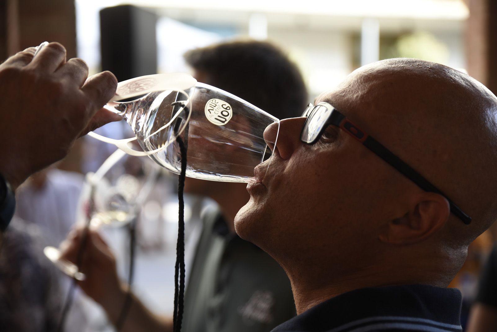 Tast de vins al celler modernista. Foto: Bernat Millet.