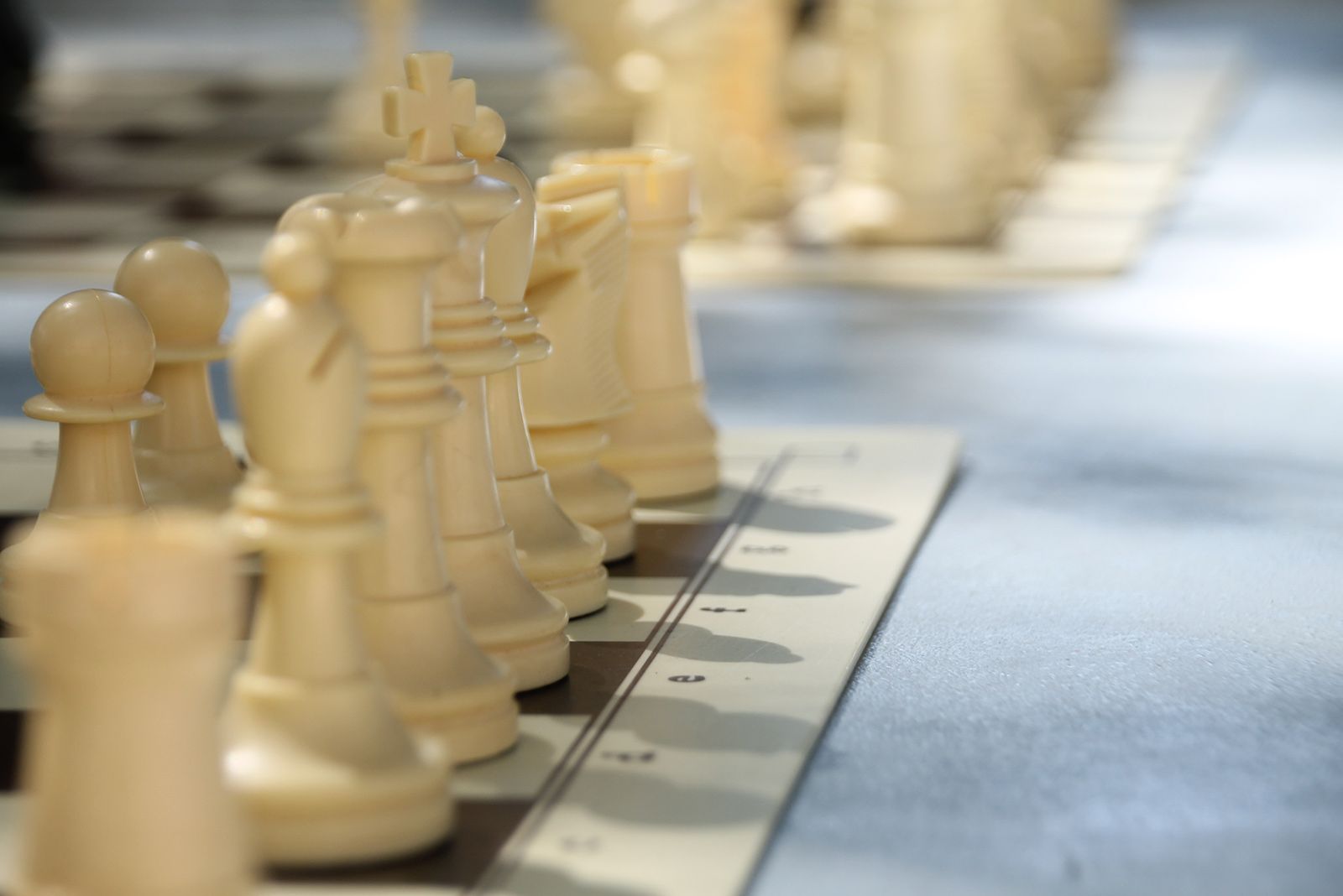 Torneig de partides simultànies d'escacs. FOTO: Paula Galván
