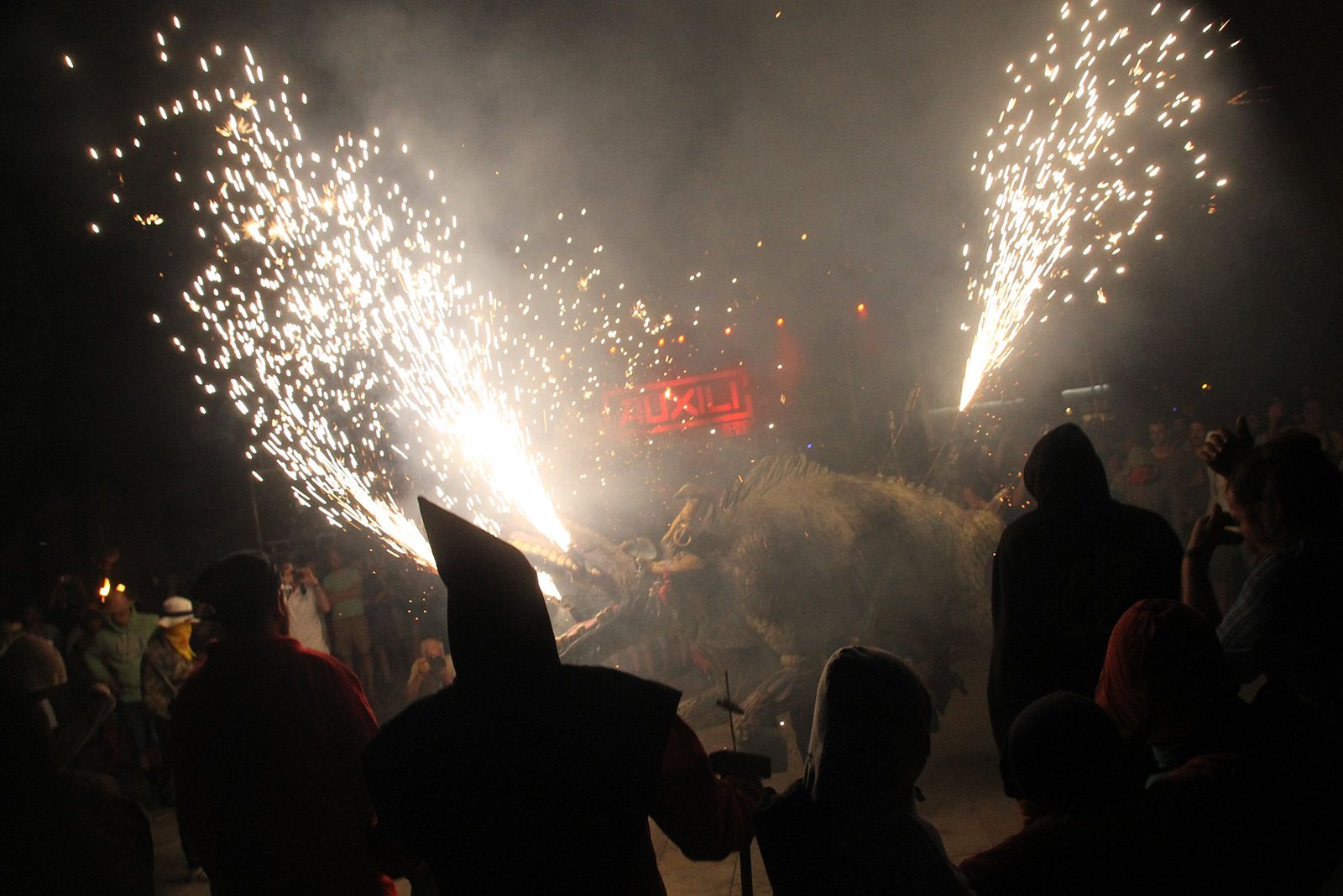 Final del correfoc amb el Boc. FOTO: Paula Galván