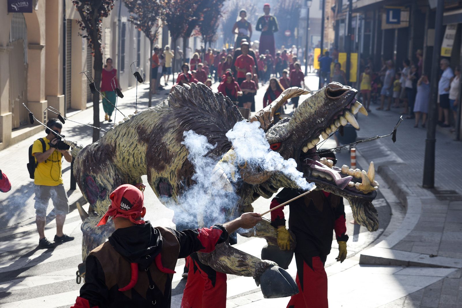 Seguici de Sant Pere de Festa Major. Foto: Bernat Millet.