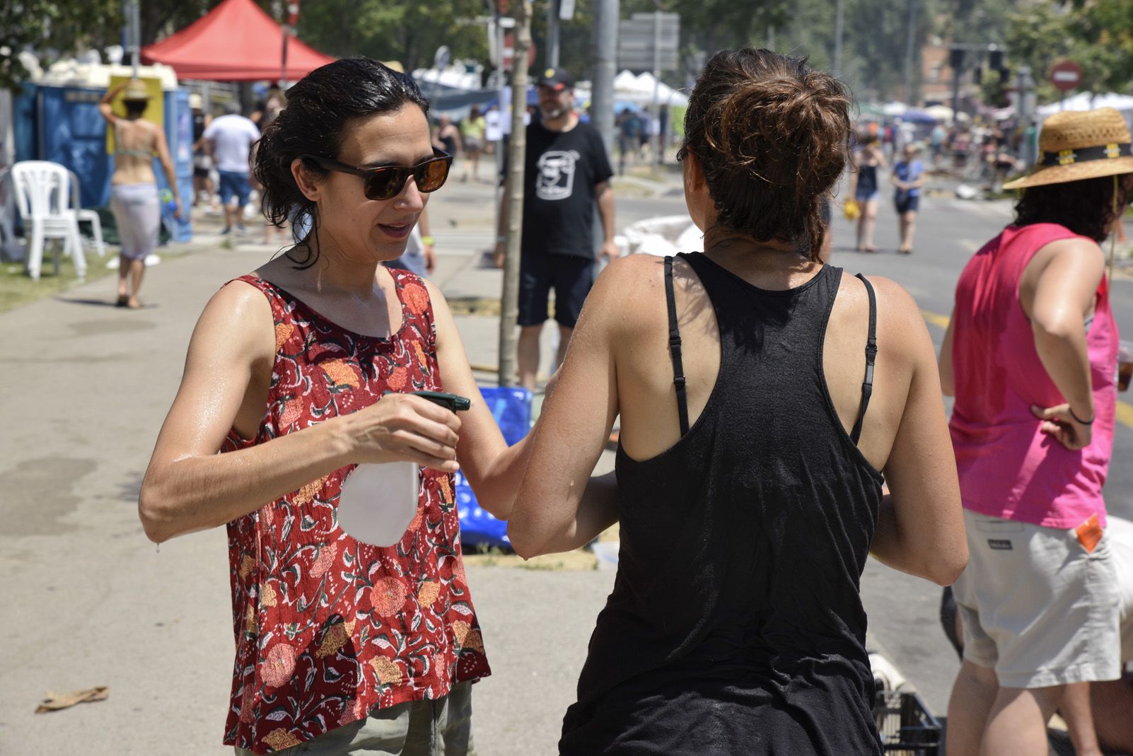 39è Concurs d'Arrossos de Festa Major 2019. Foto: Bernat Millet.