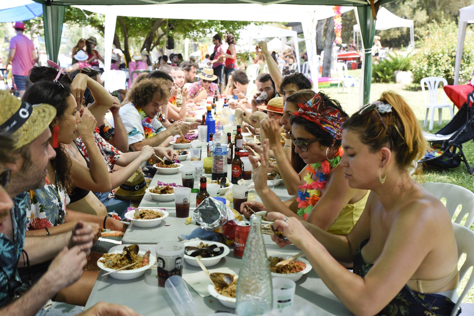 39è Concurs d'Arrossos de Festa Major 2019. Foto: Bernat Millet.